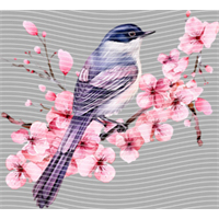 Animal Integration-DW 2174